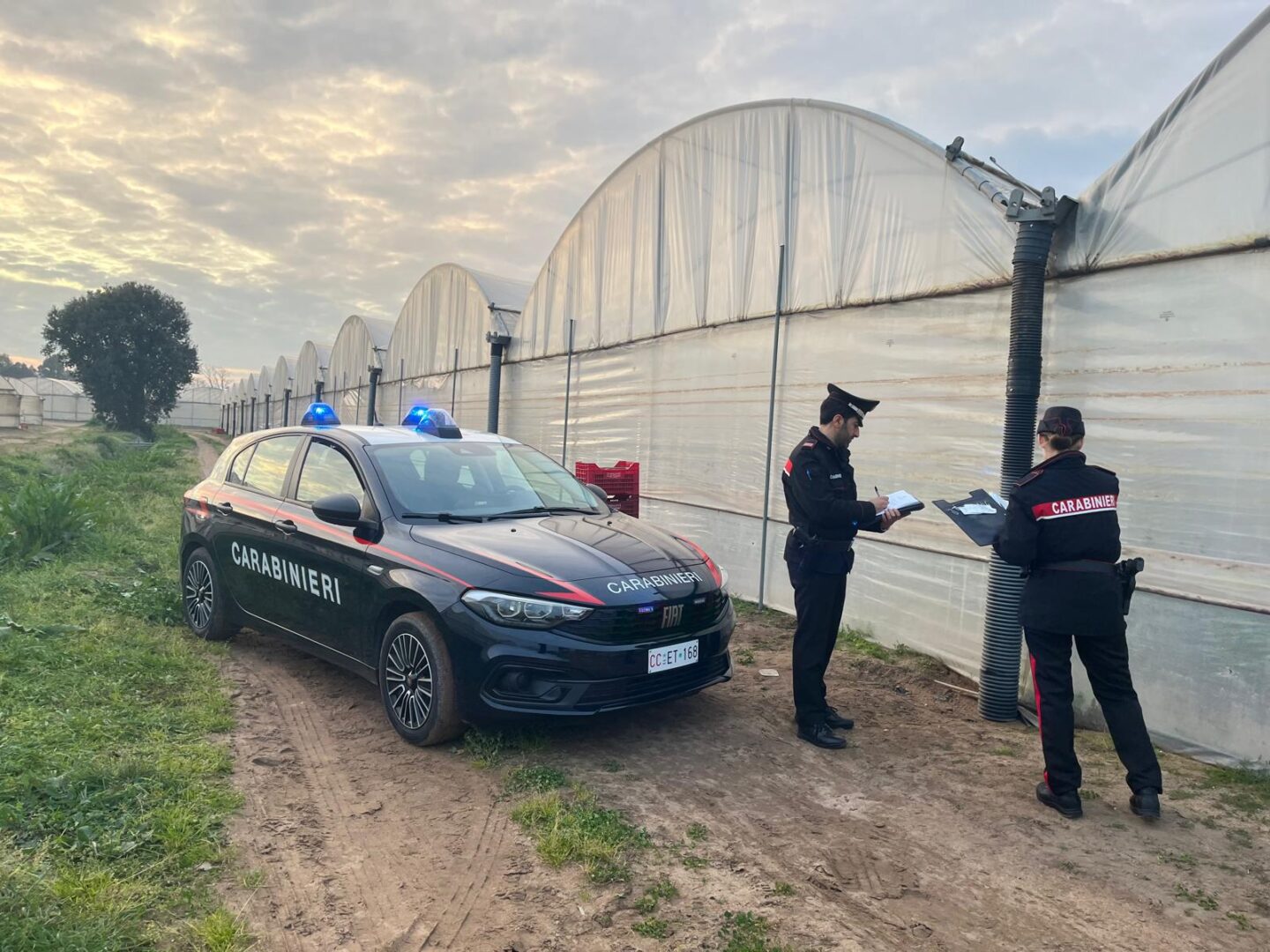 Malore mentre lavora nell'azienda agricola, a Terracina muore bracciante - h24 notizie - portale indipendente di news dalla provincia